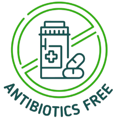 Antibiotic Free icon