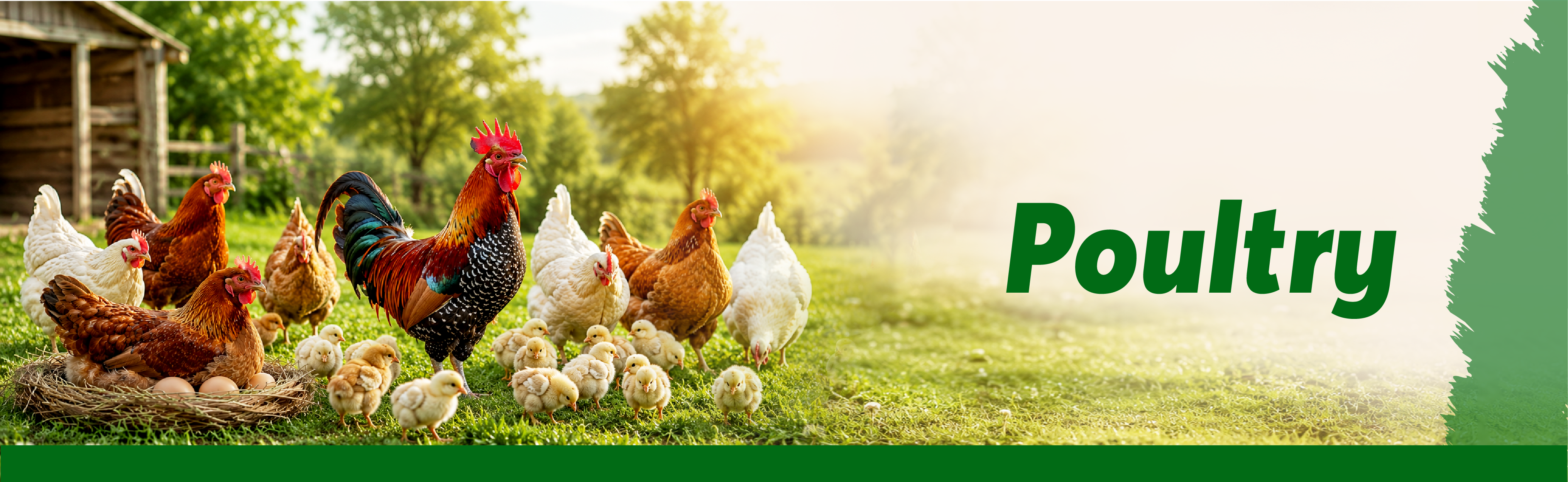 Everest Agrogenics banner